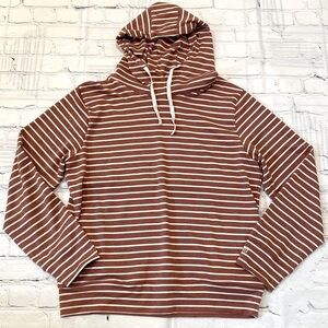 Albion Fit Stripe Terracotta Hoodie